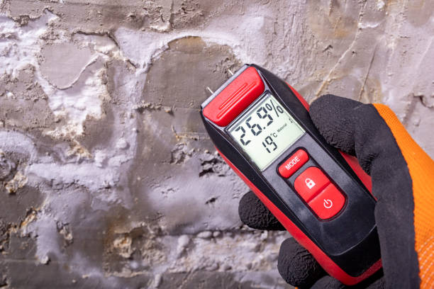 Mold Removal Process in Sardis, MS